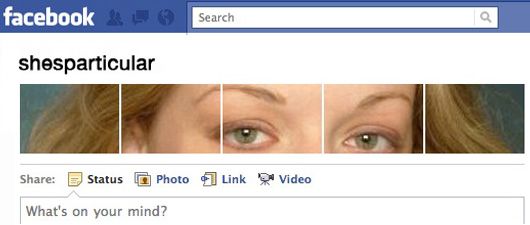 Awesome-ifying Your Facebook Profile