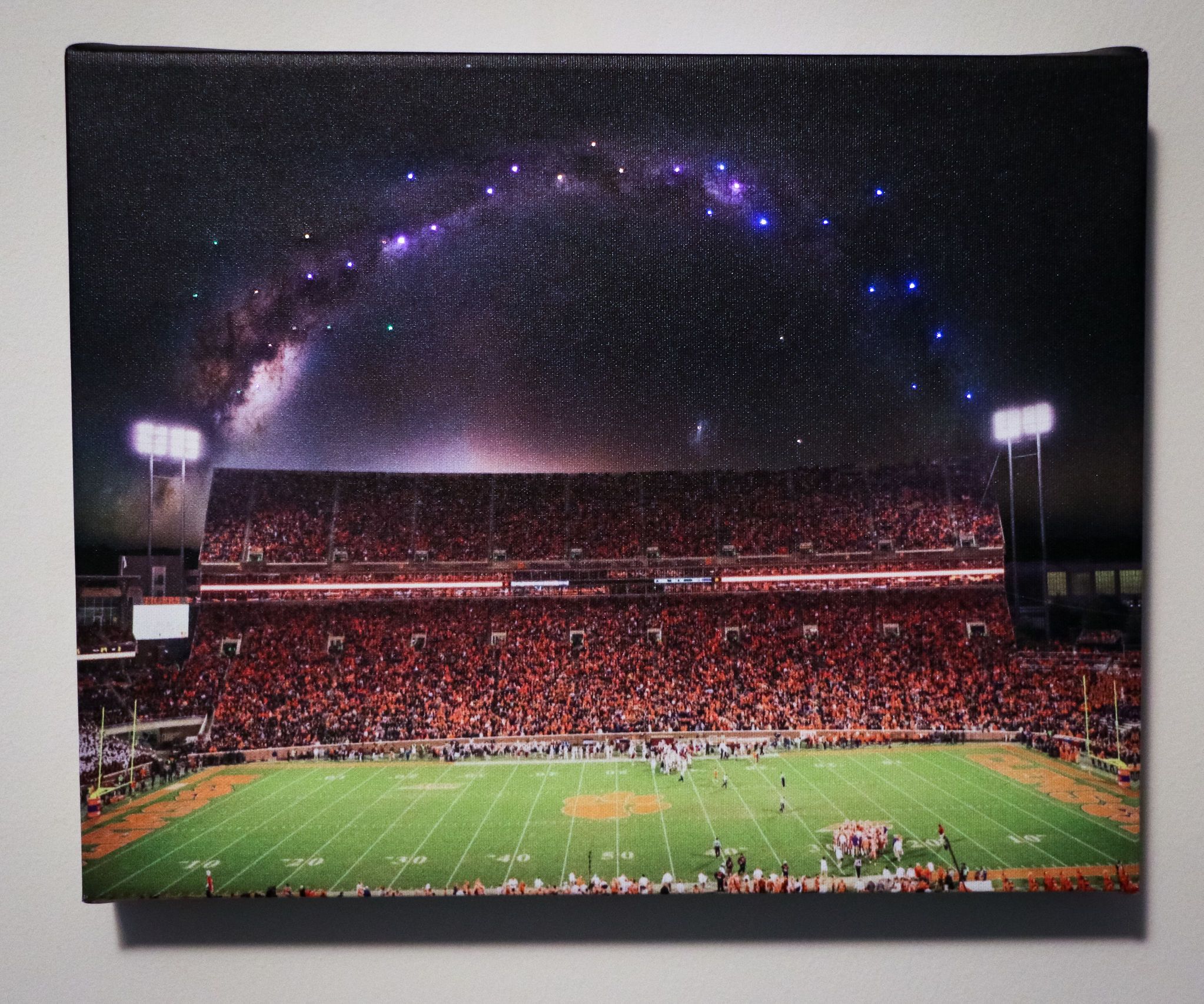 Fiber-Optic Lights in Canvas Print
