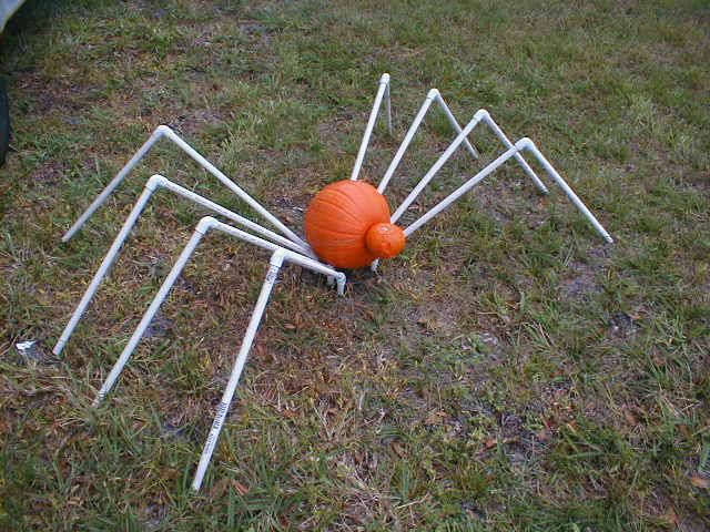 Pumpkin Spider