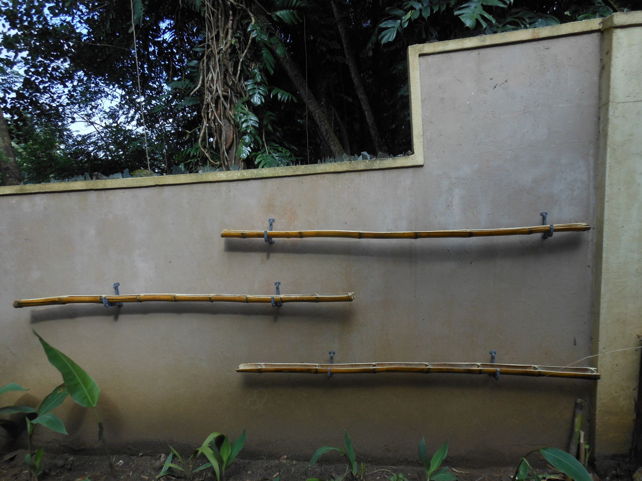 Simple Wall Garden : 5 Steps - Instructables
