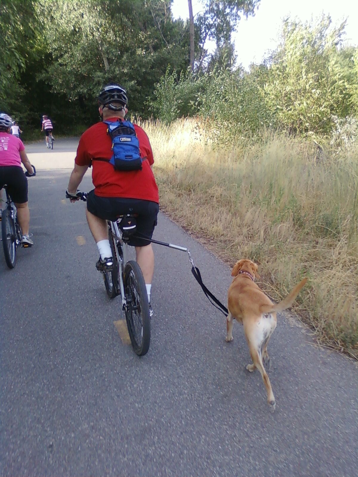 Bike Dog Walker 8 Steps (with Pictures) Instructables