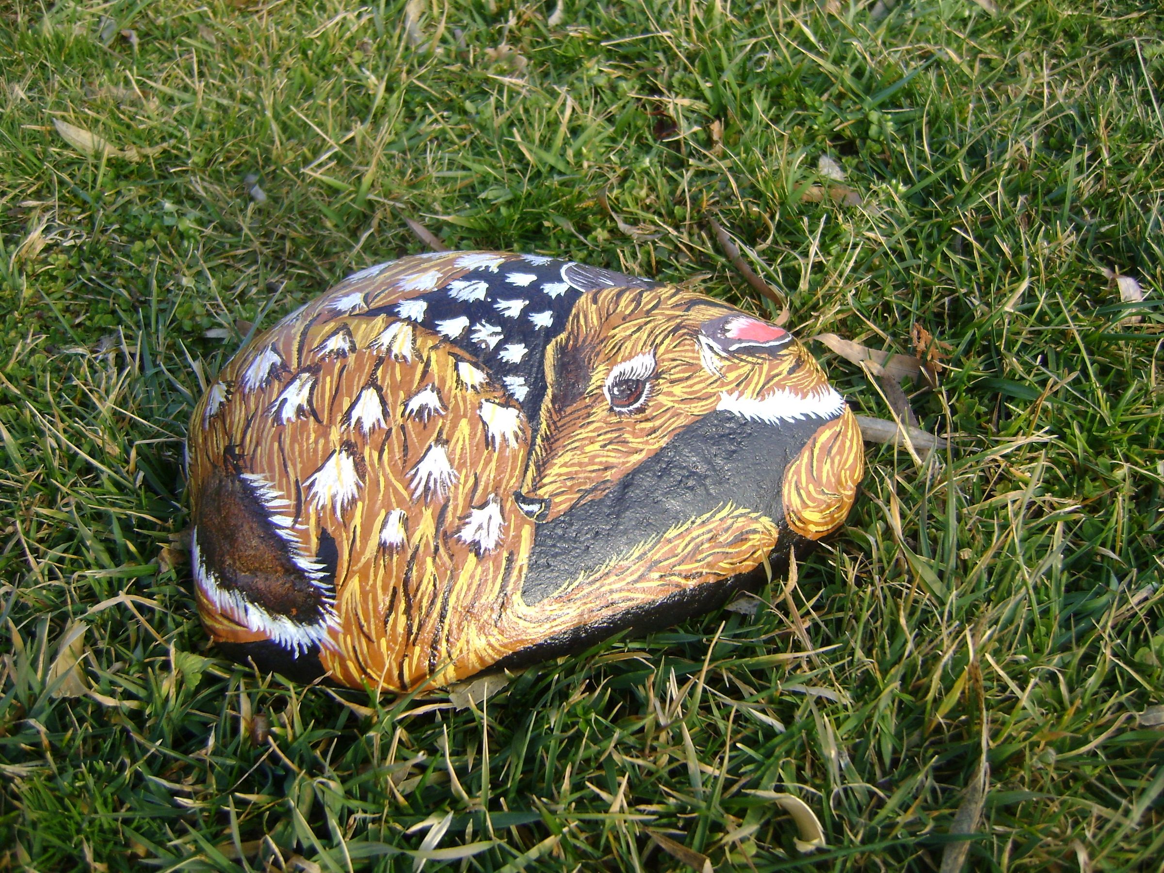 Painted Deer Rock - Instructables