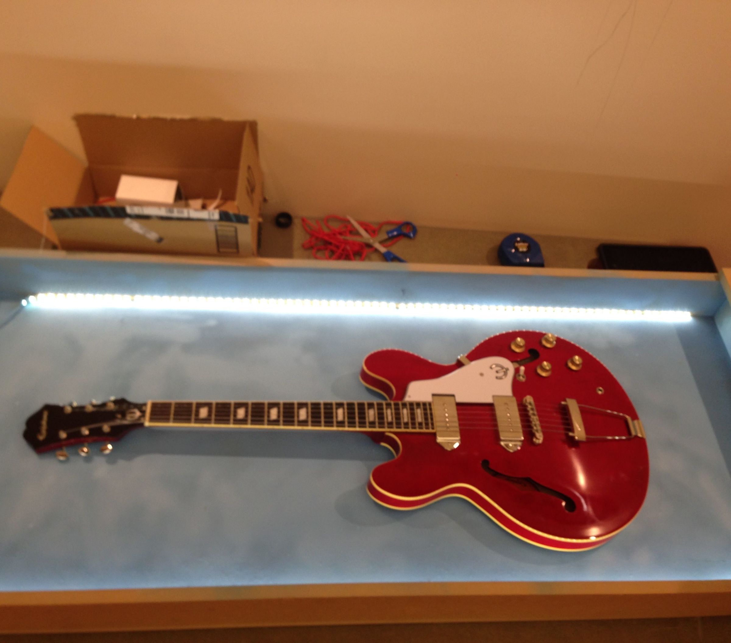 Guitar Display Case