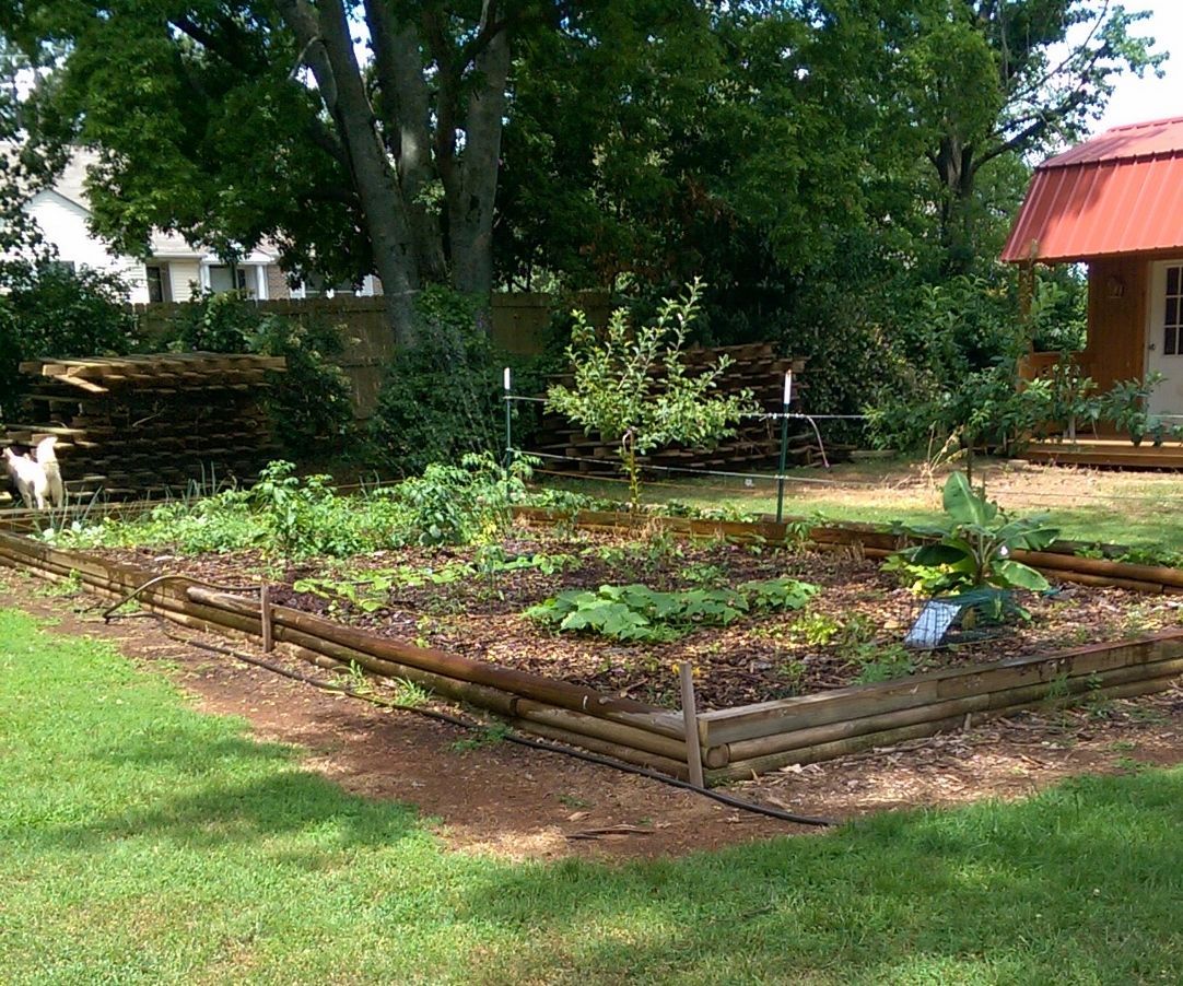 Water Your Dogs While Watering Your Garden