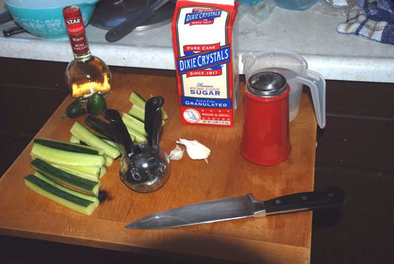 Refrigerator Pickles - Quick N' Easy