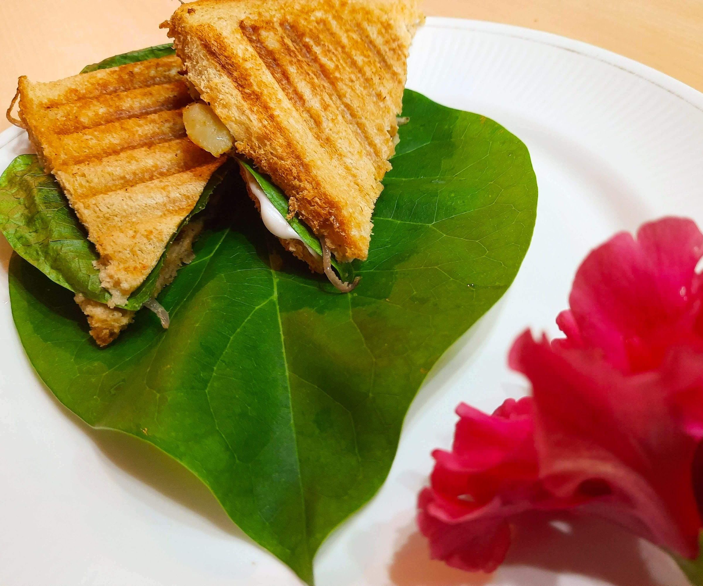 Hibiscus Immunity Booster Sandwich