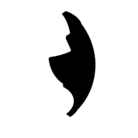 download {{ file.name }}