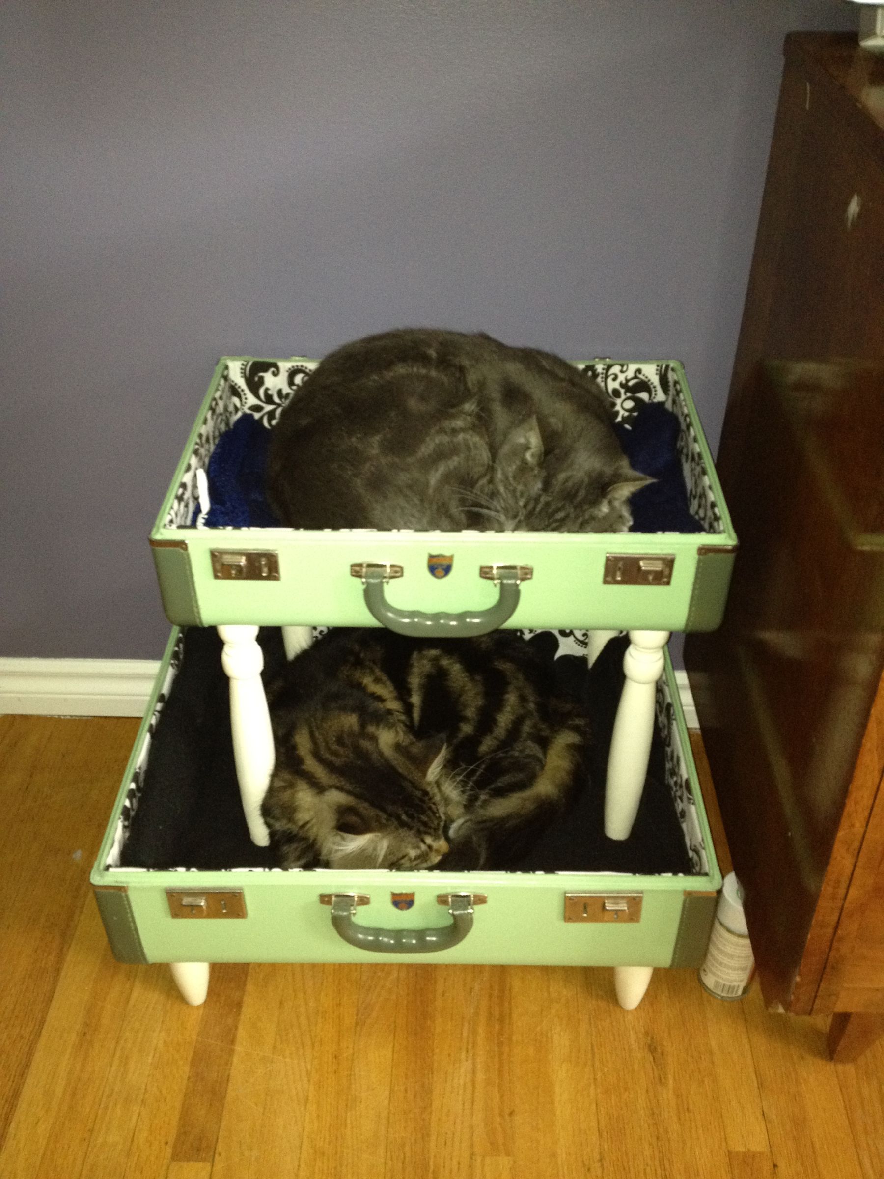 Cat Bunk Beds With Old Suitcases (with Pictures) Instructables