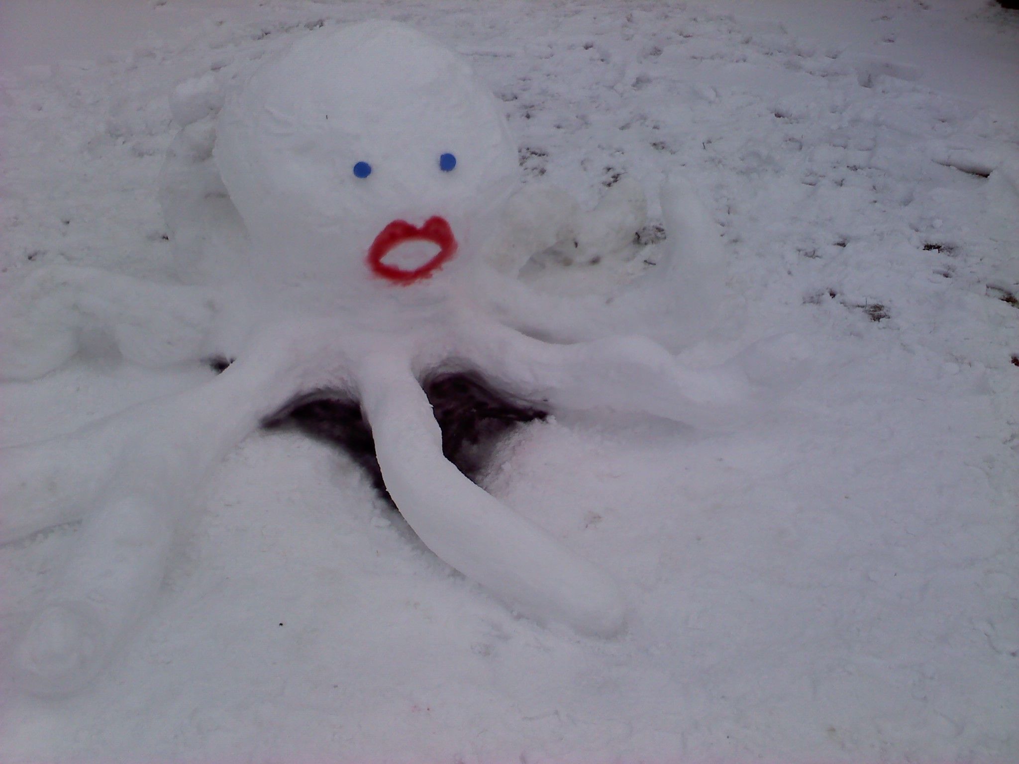 Octosnowpus