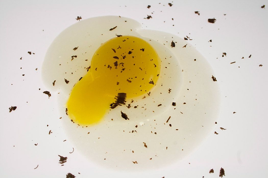 Molecular Gastronomy - Molecular Egg