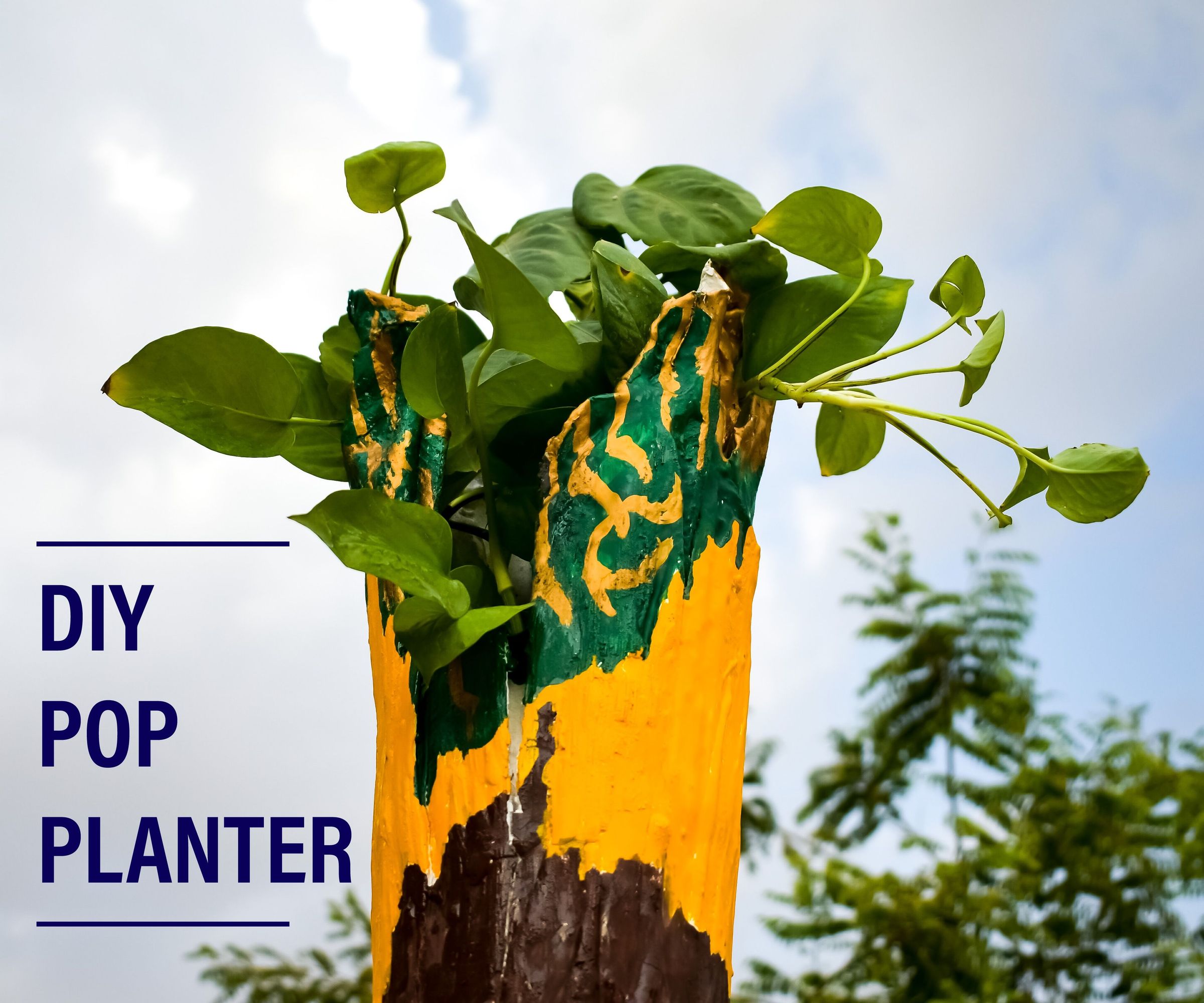 DIY P.O.P PLANTER