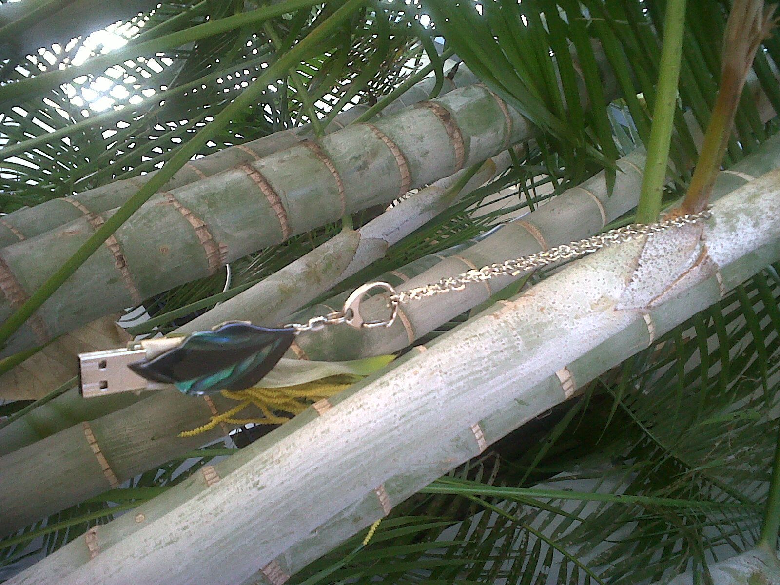 Wearable USB Drivey - MK Ii