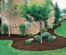 How to Do Landscaping on Your Yard