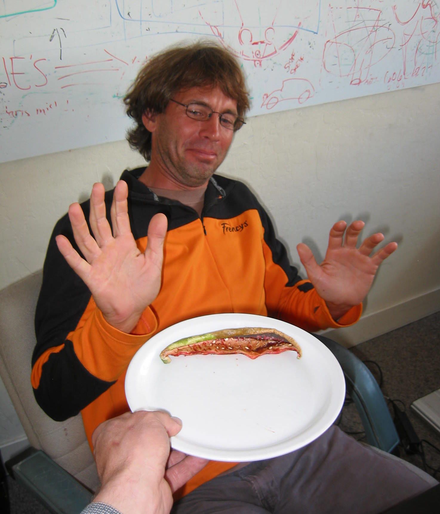 Sun Dried Watermelon Instructables