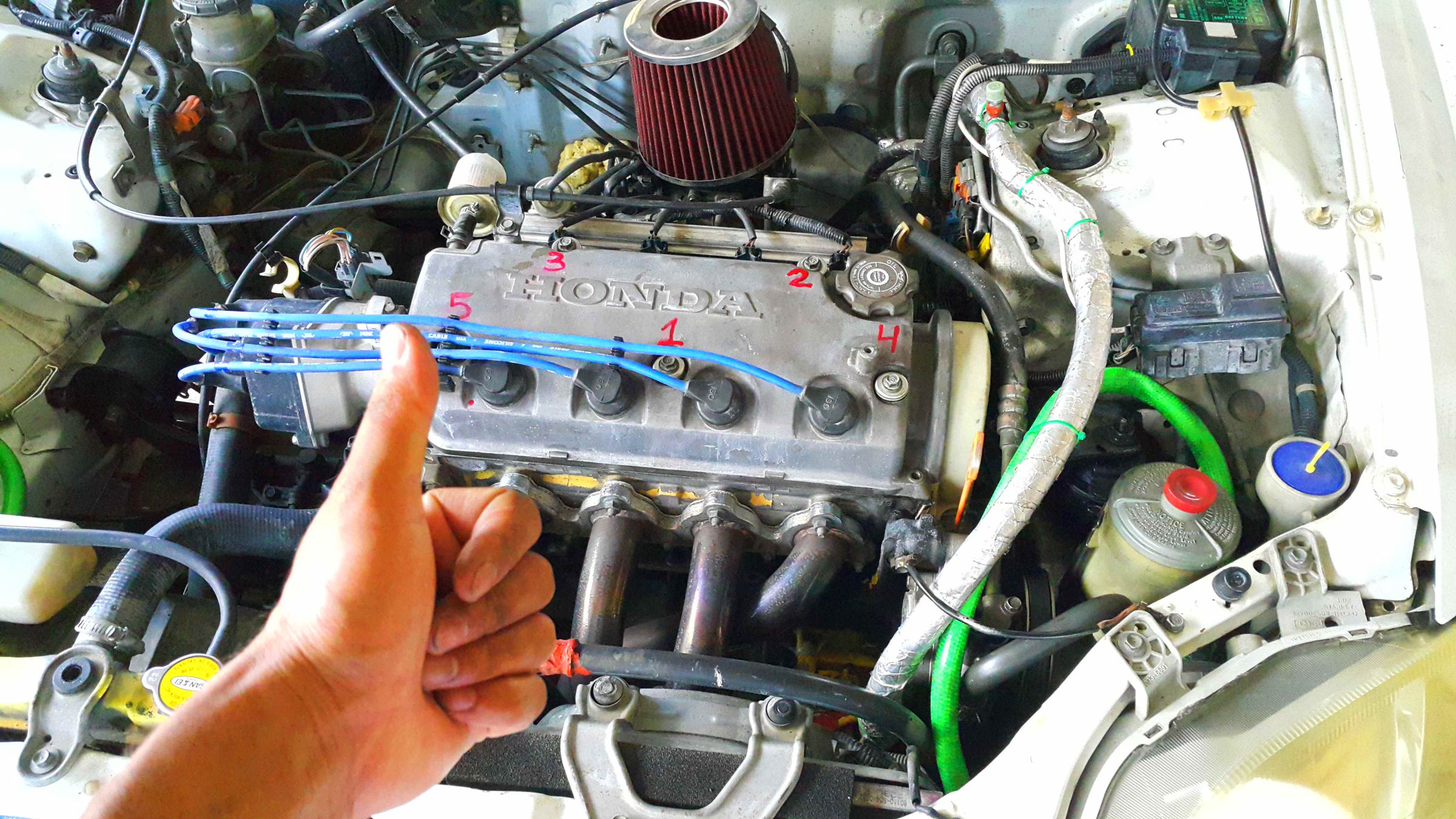 Replacing the Timing Belt and Crankshaft Seal (Honda Civic 1999, D15B