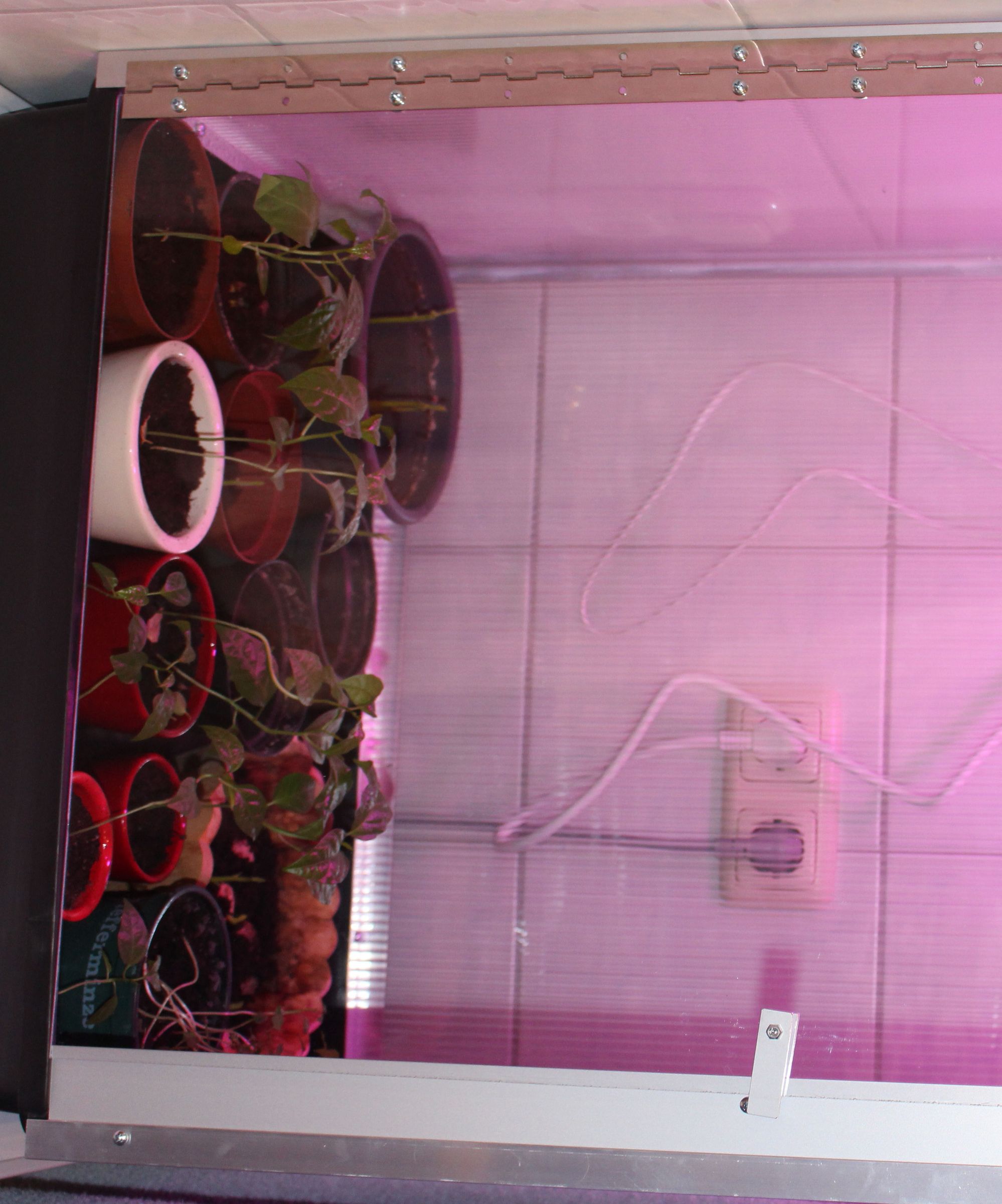 Winter Indoor Garden (Grow Box)