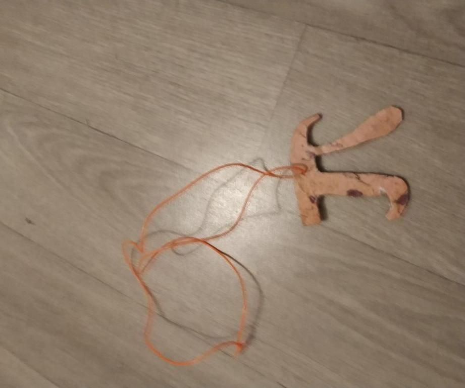 Cookie Pi (cardboard)