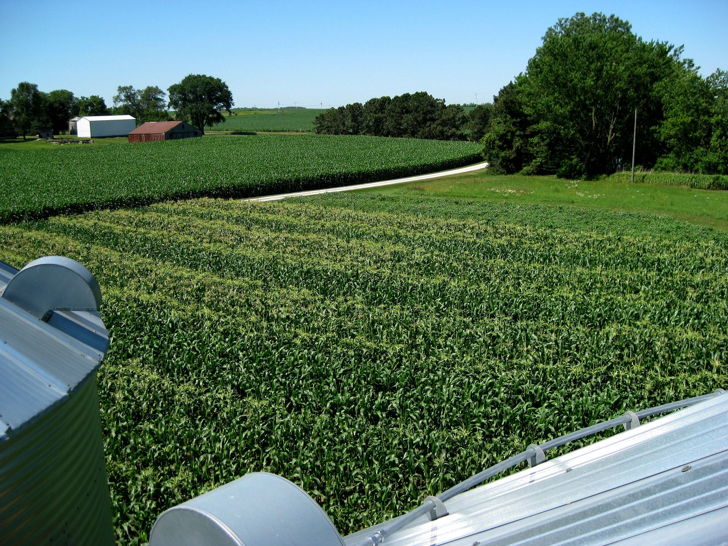 How to Install an Electric Fence