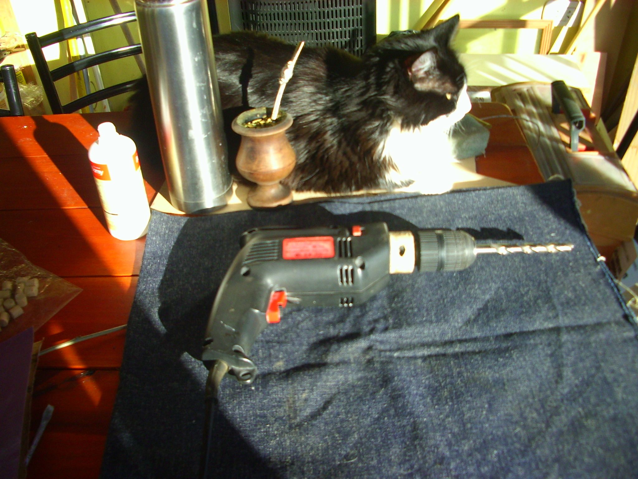 Mate El Bicho Taladro (kill the Wood Worm)