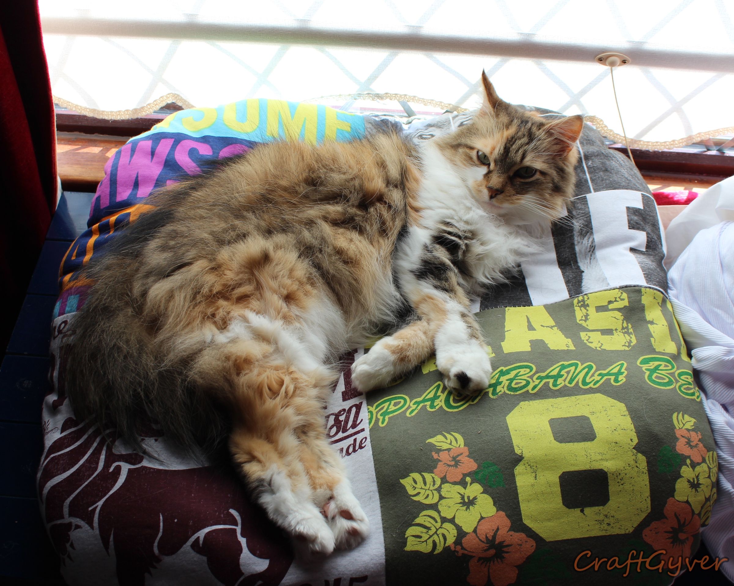 T-Shirt Recon: Pet Bed
