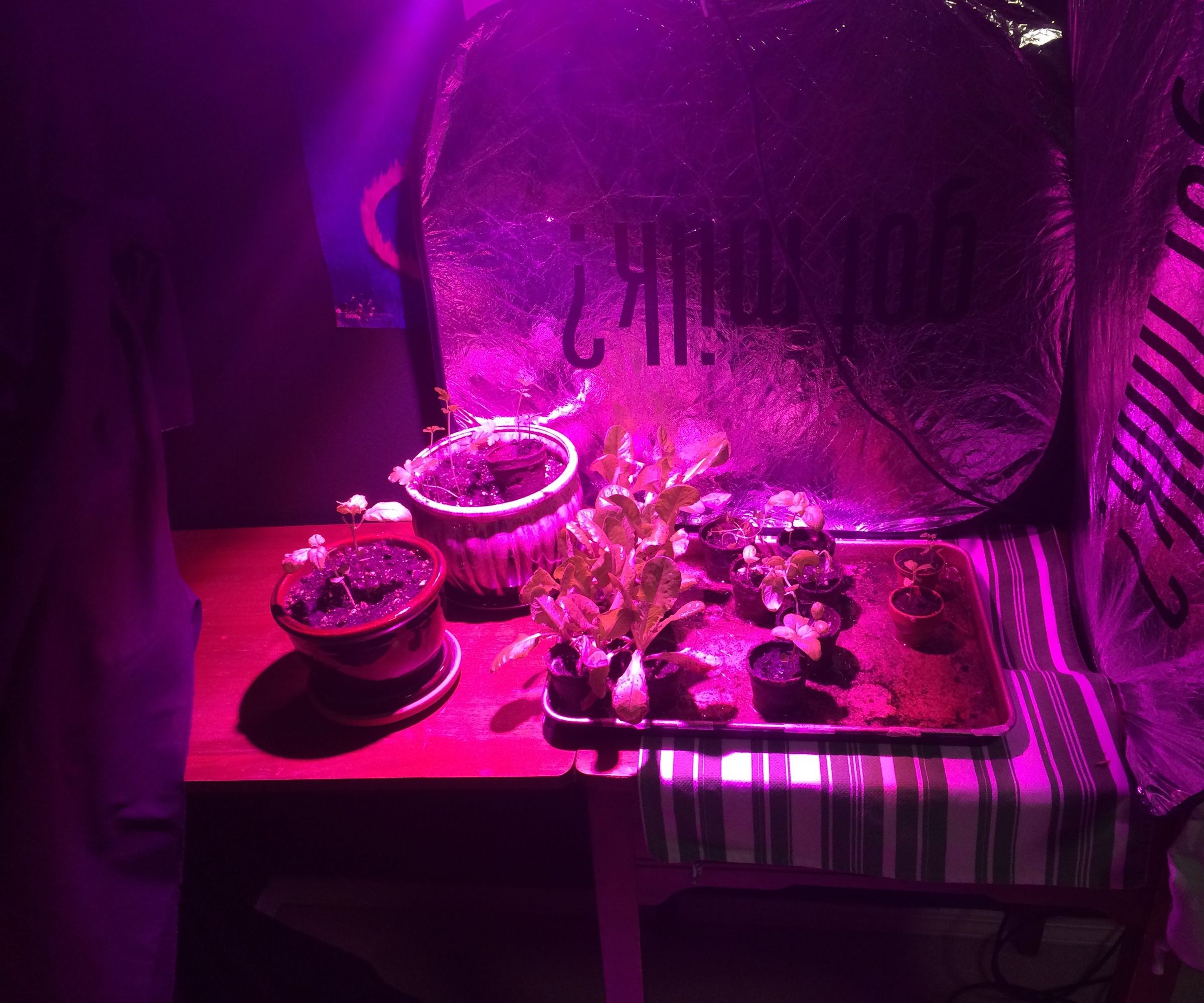 100 Watt LED Grow Light