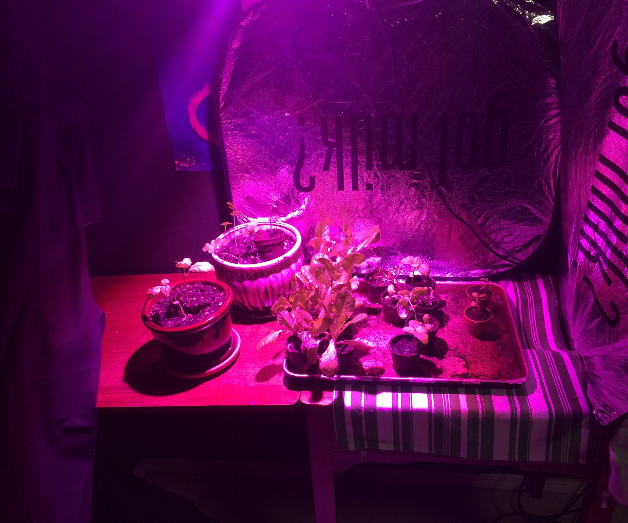 100 Watt LED Grow Light 5 Steps (with Pictures) Instructables