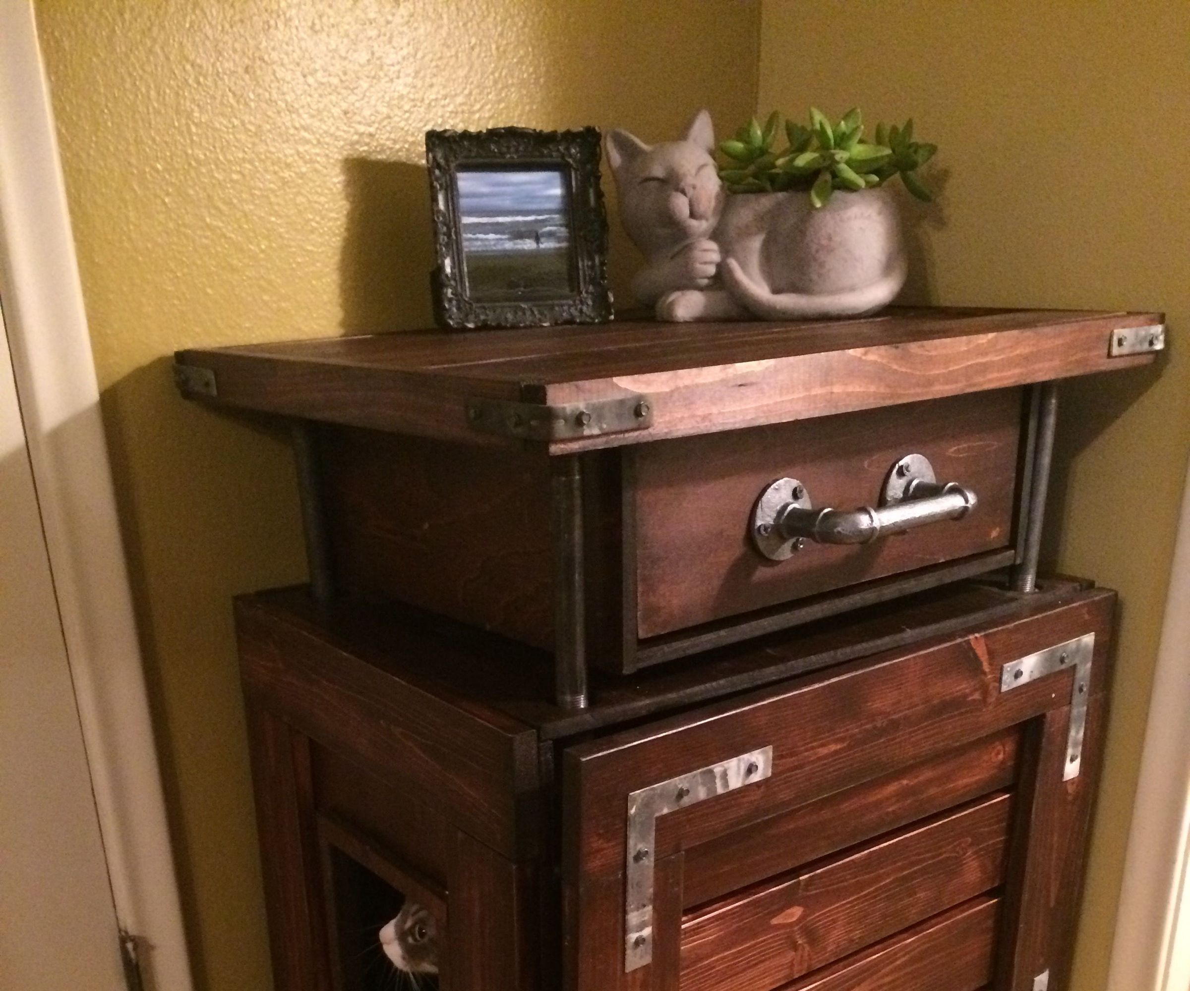 Cat Cabinet
