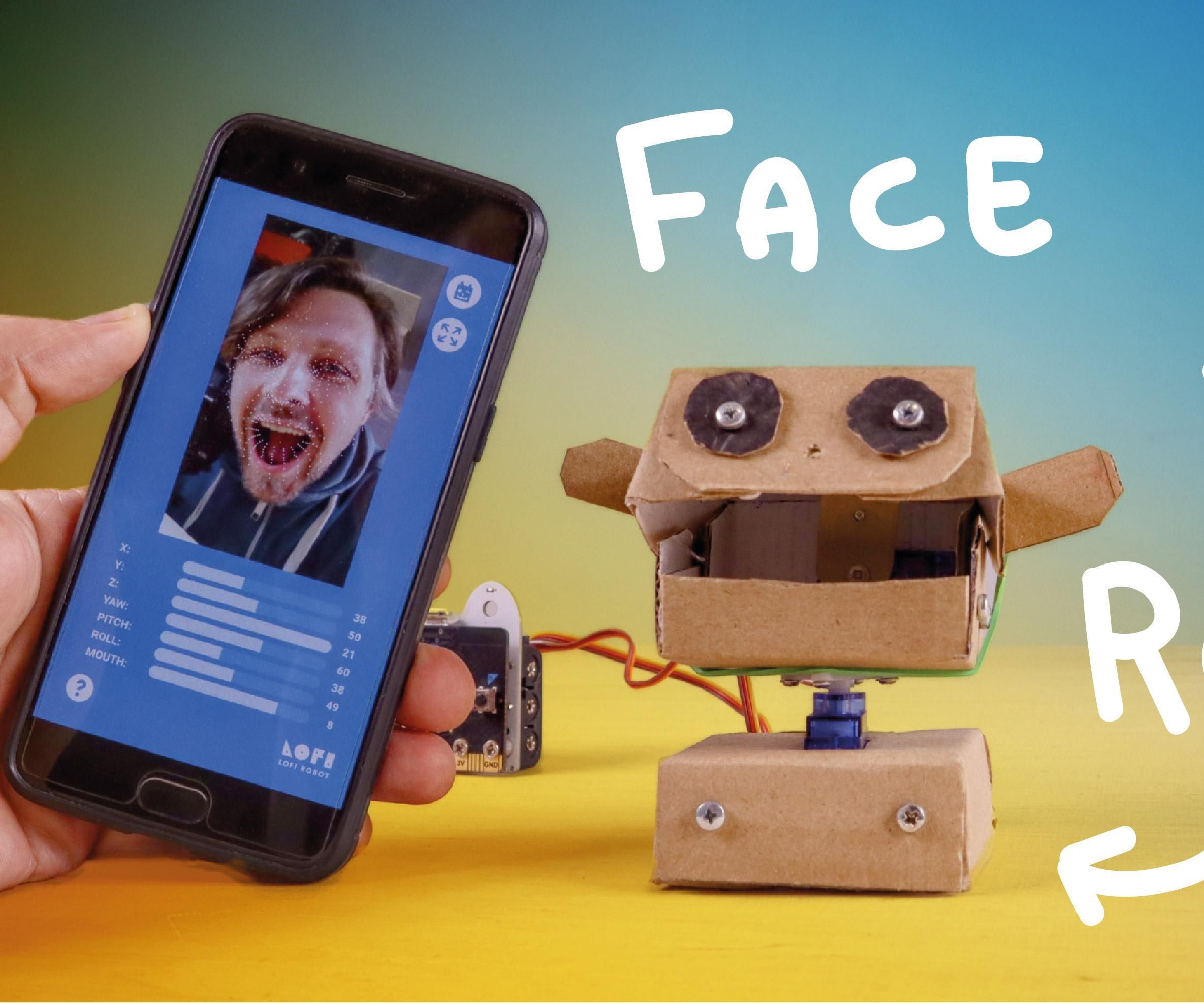 DIY Cardboard Head With Face Tracking
