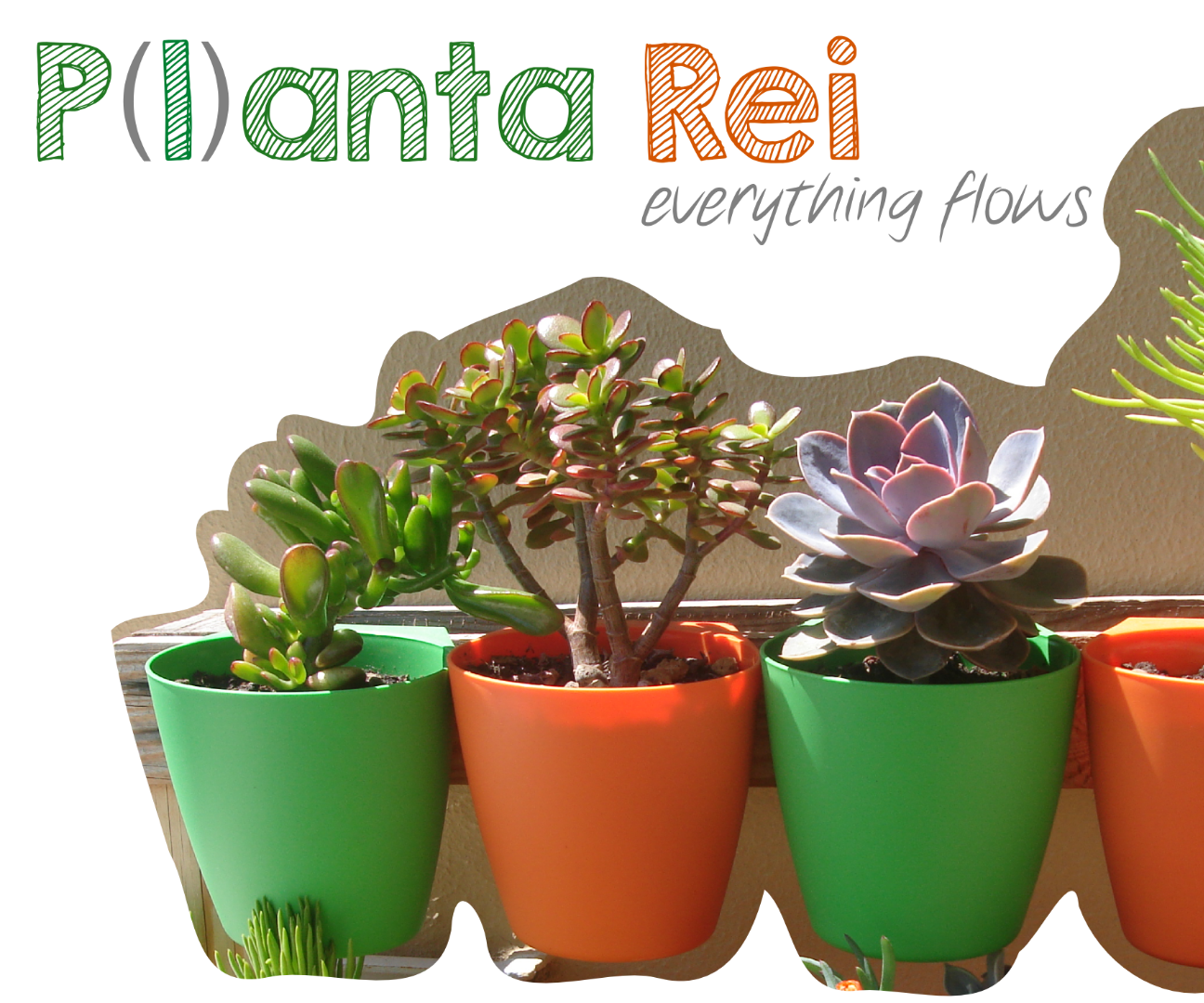 Planta Rhei: Everything Flows.