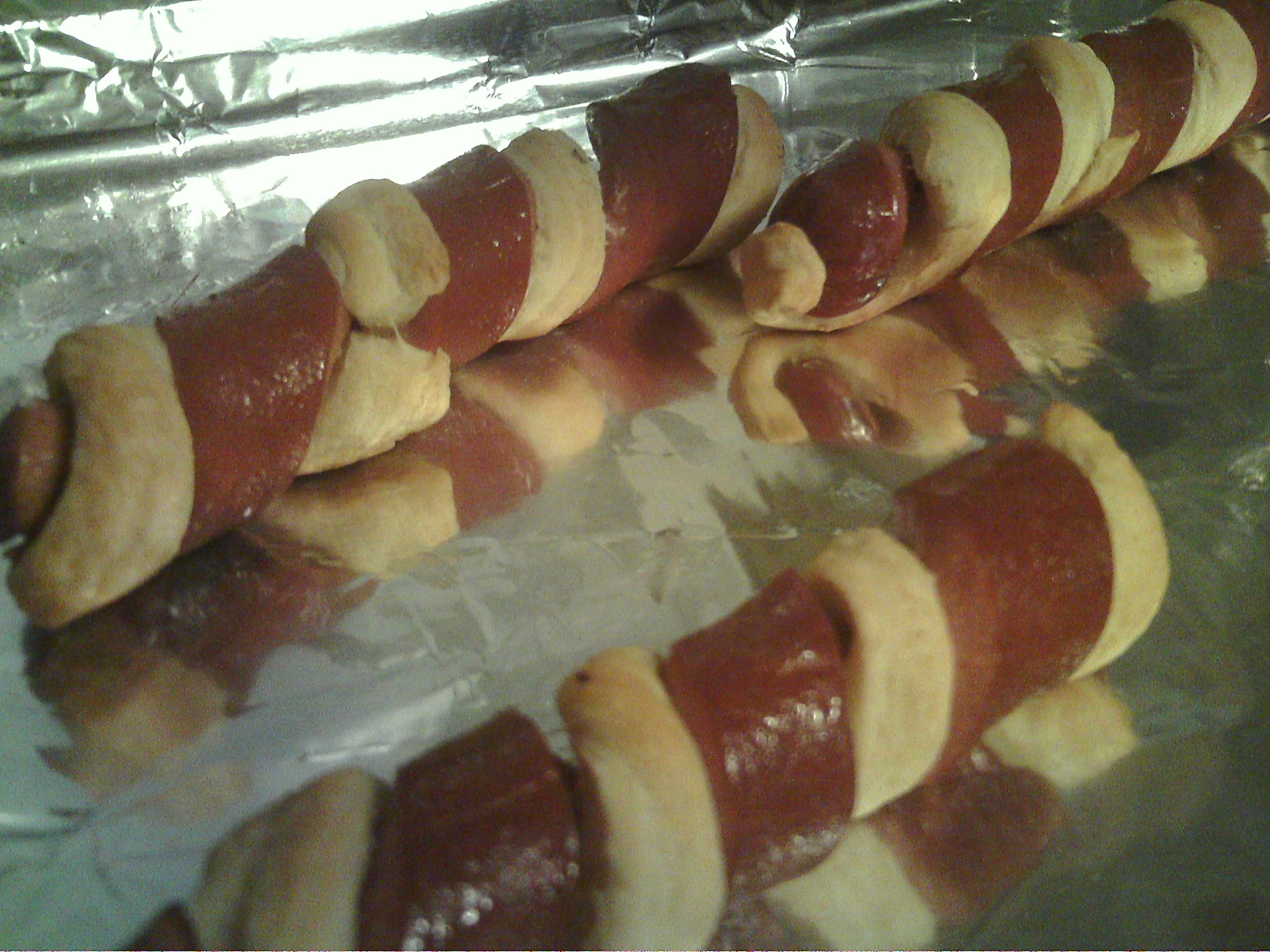 Spiral Dogs in a Blanket Instructables