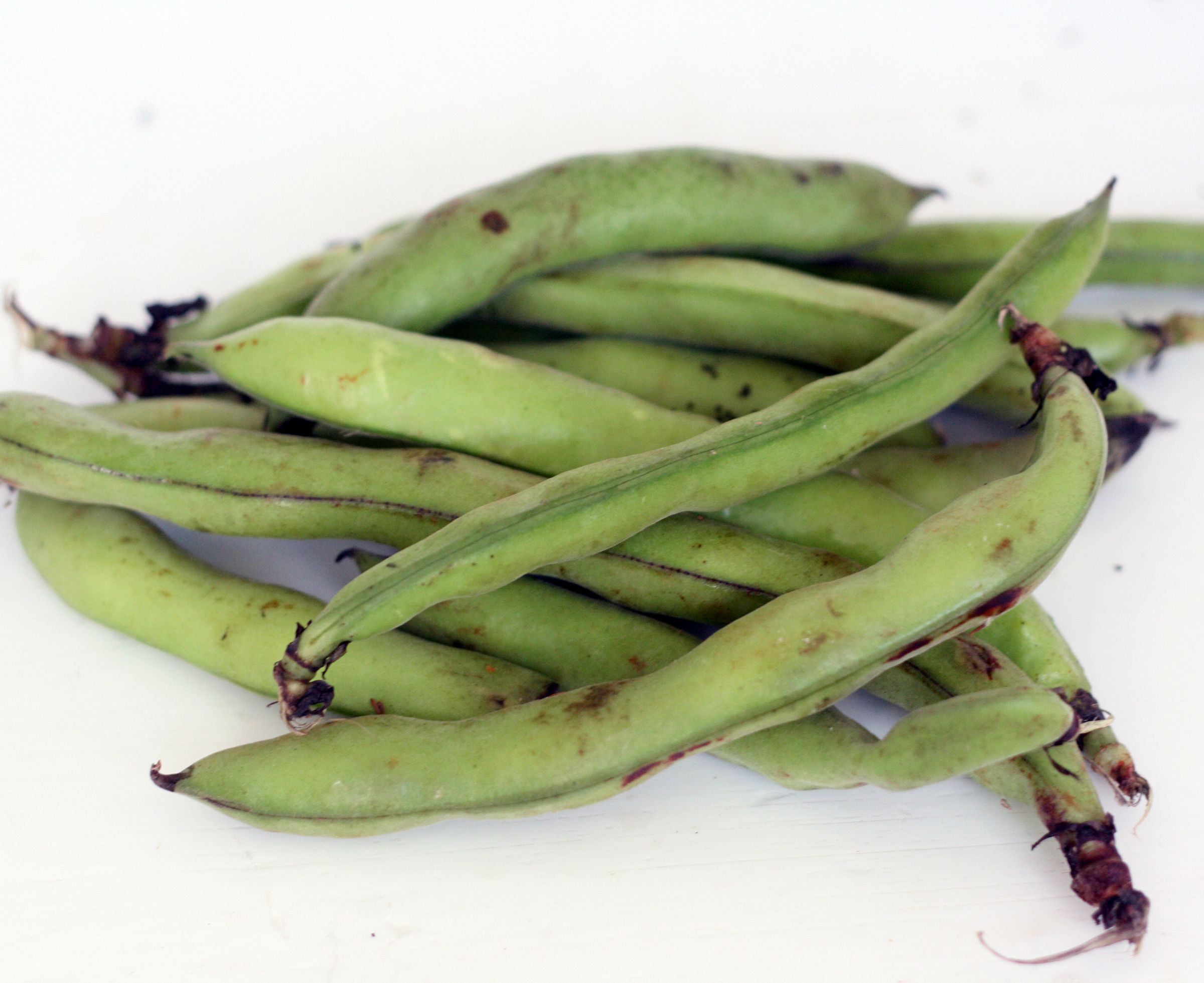 Broad Beans | Fava Beans