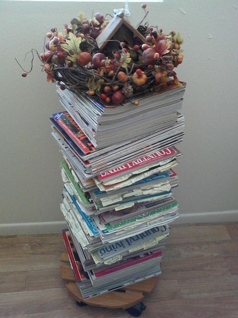 Magazine Rack: Plant Stand