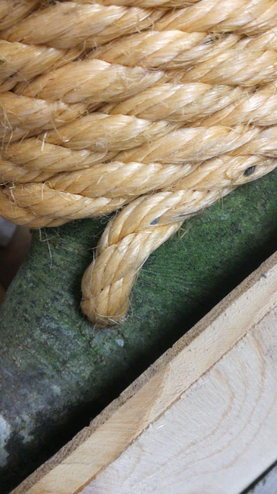 Turn the Tree Into a Scratching Tree