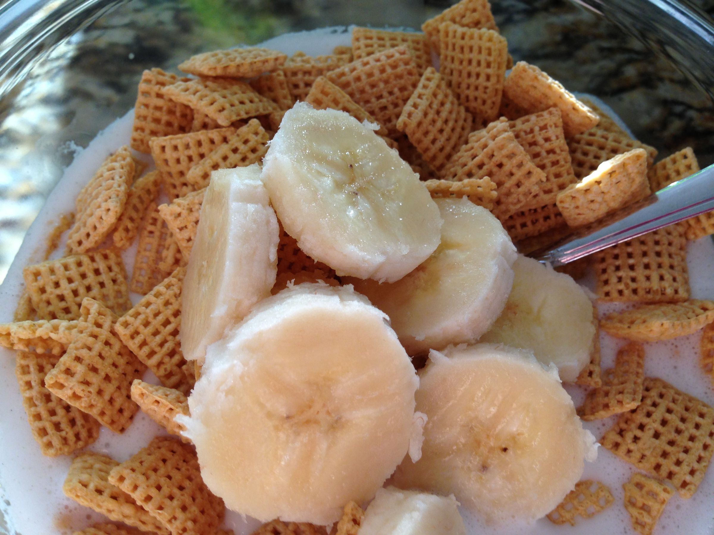 Organic Homemade Hemp Milk