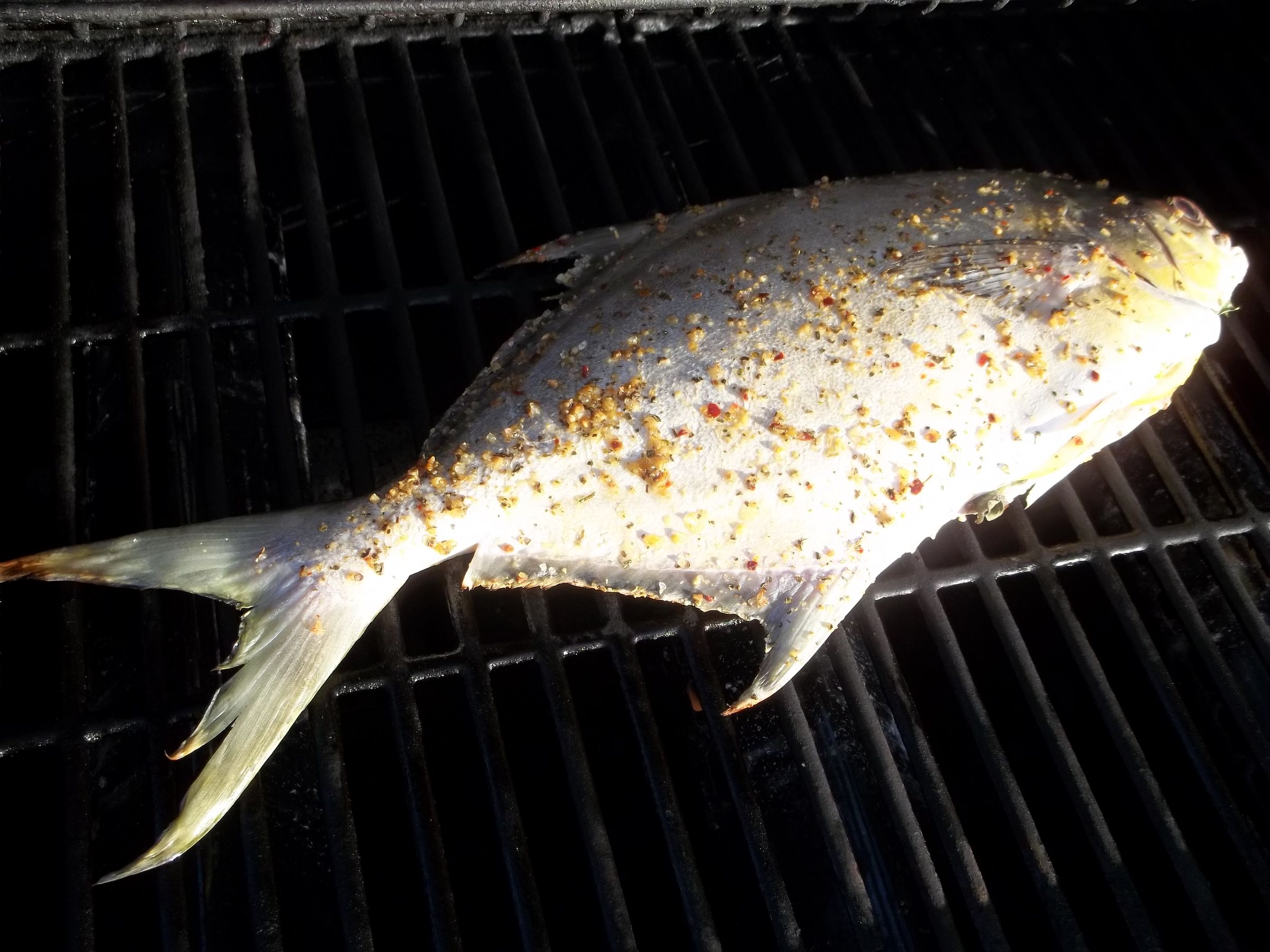 Grilled Pompano Instructables