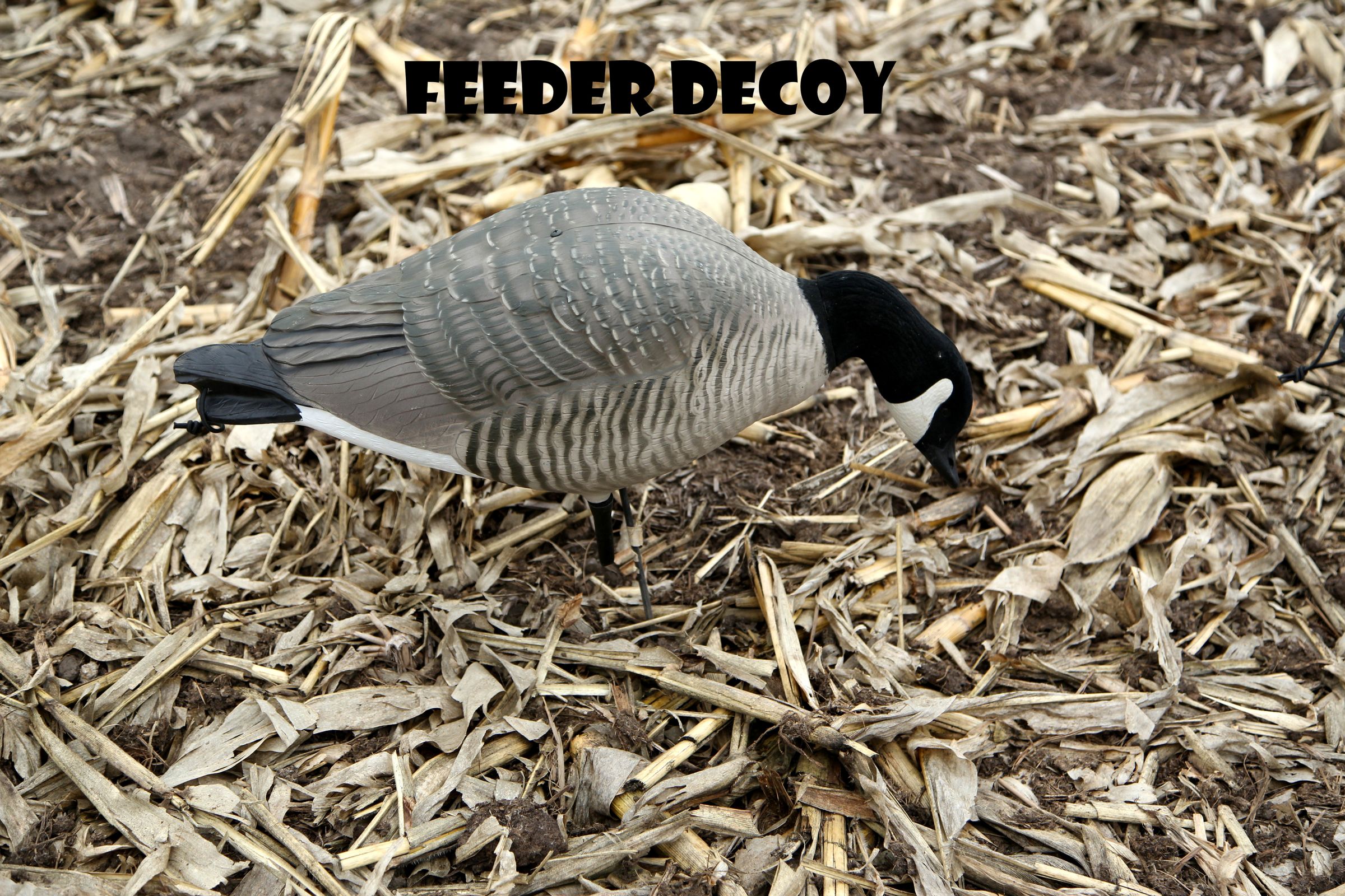 How to Set Up Goose Decoys 7 Steps Instructables