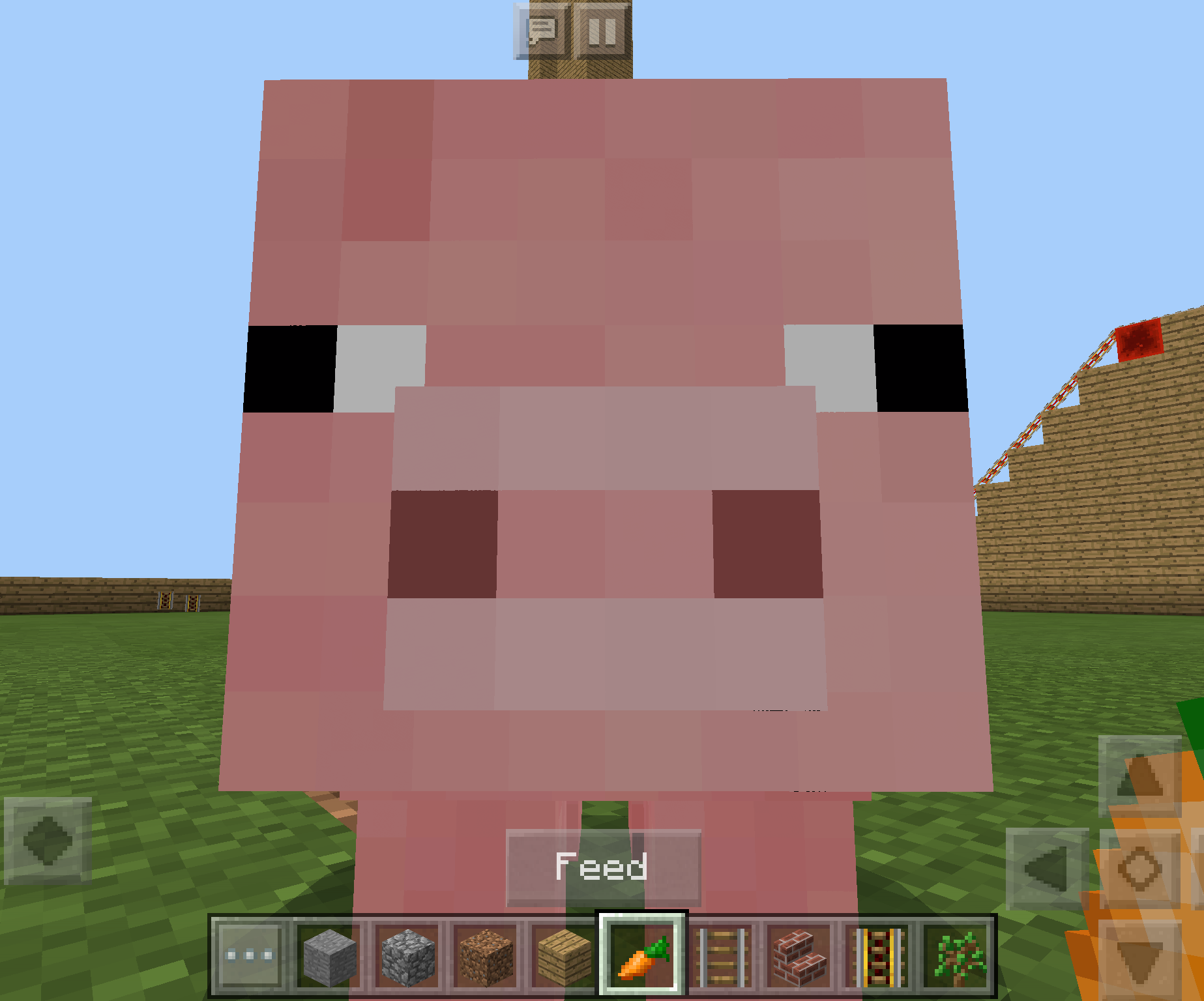 Minecraft Rollercoaster 