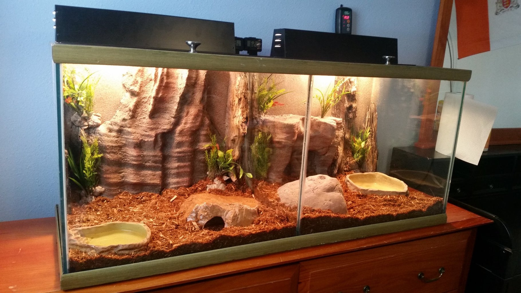 Ball Python Enclosure