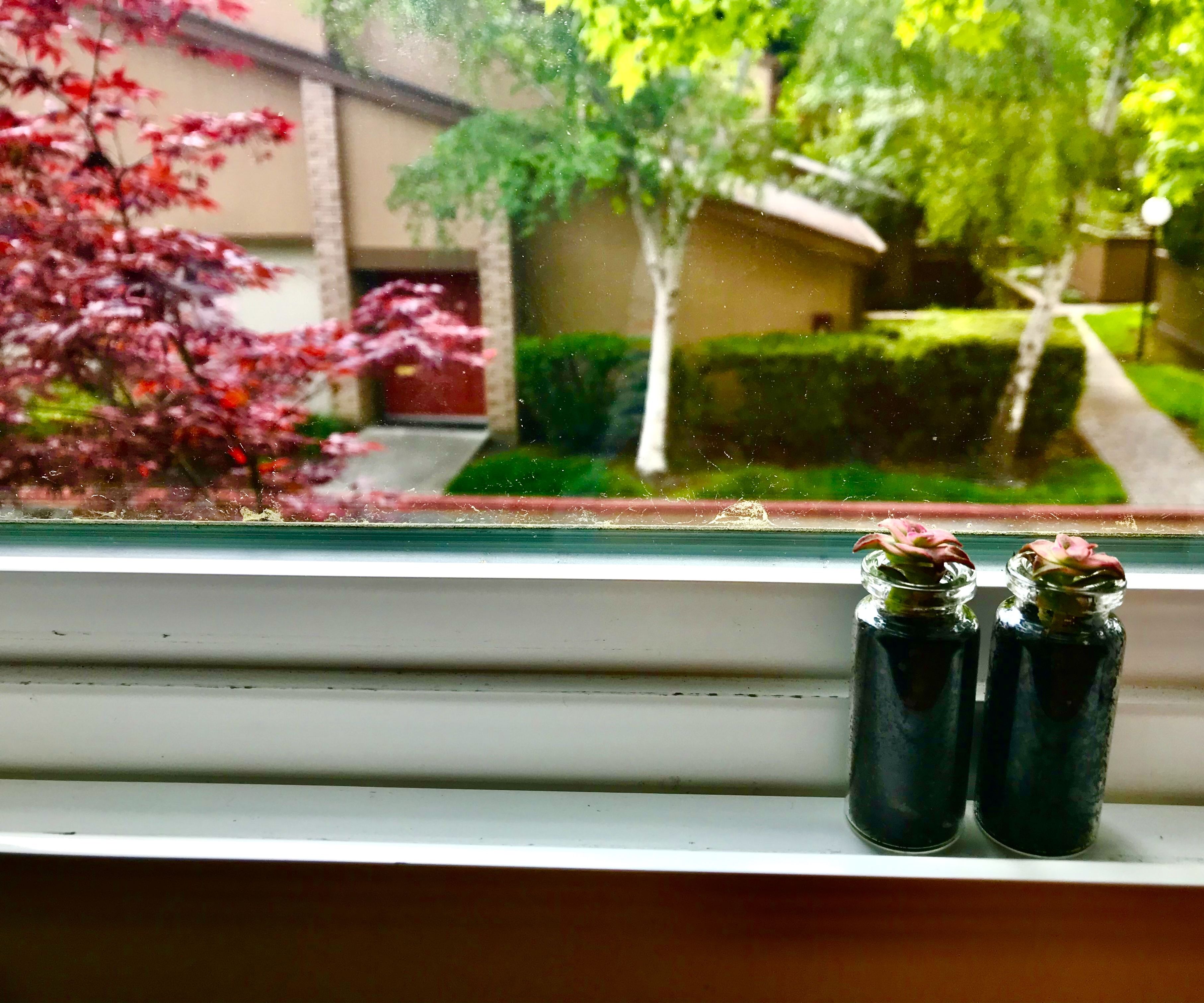 Succulent Decoration/Necklace