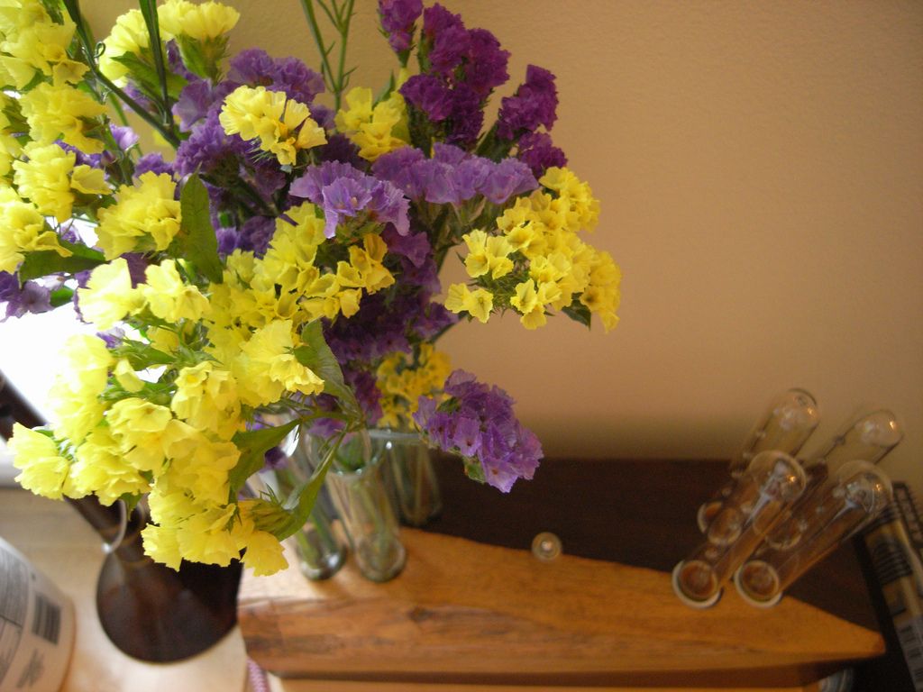 Test tube Vase / lamp