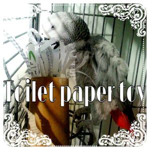 Recycled Toilet Paper Rolls Into Super Easy Parrot Toy