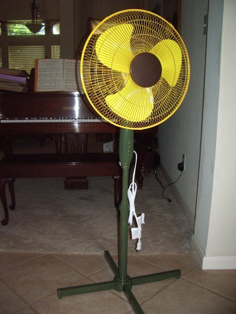 Sunflower Fan