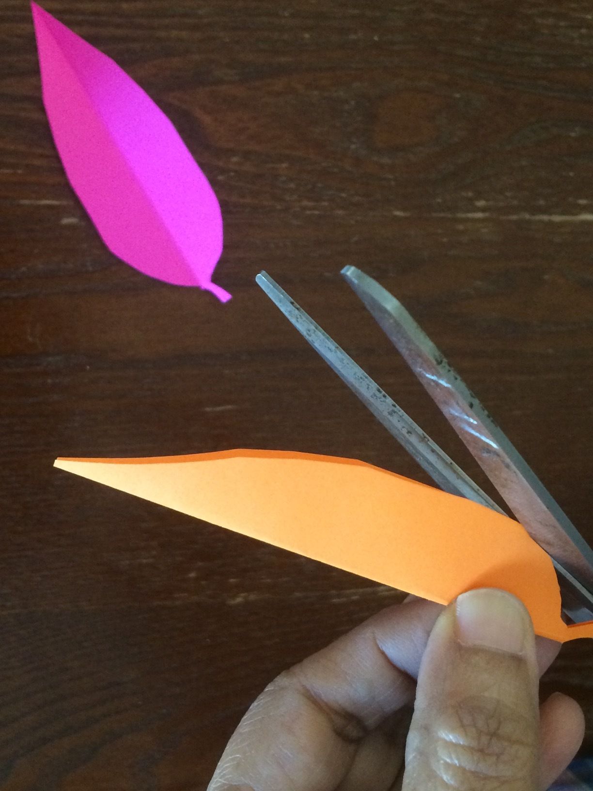 a Feather in One's Cap 8 Steps Instructables