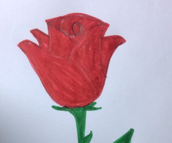 How to Draw a Rose
