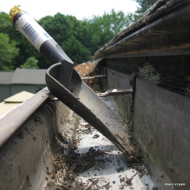 Clean the Gutters and Put in Leaf Gaurds