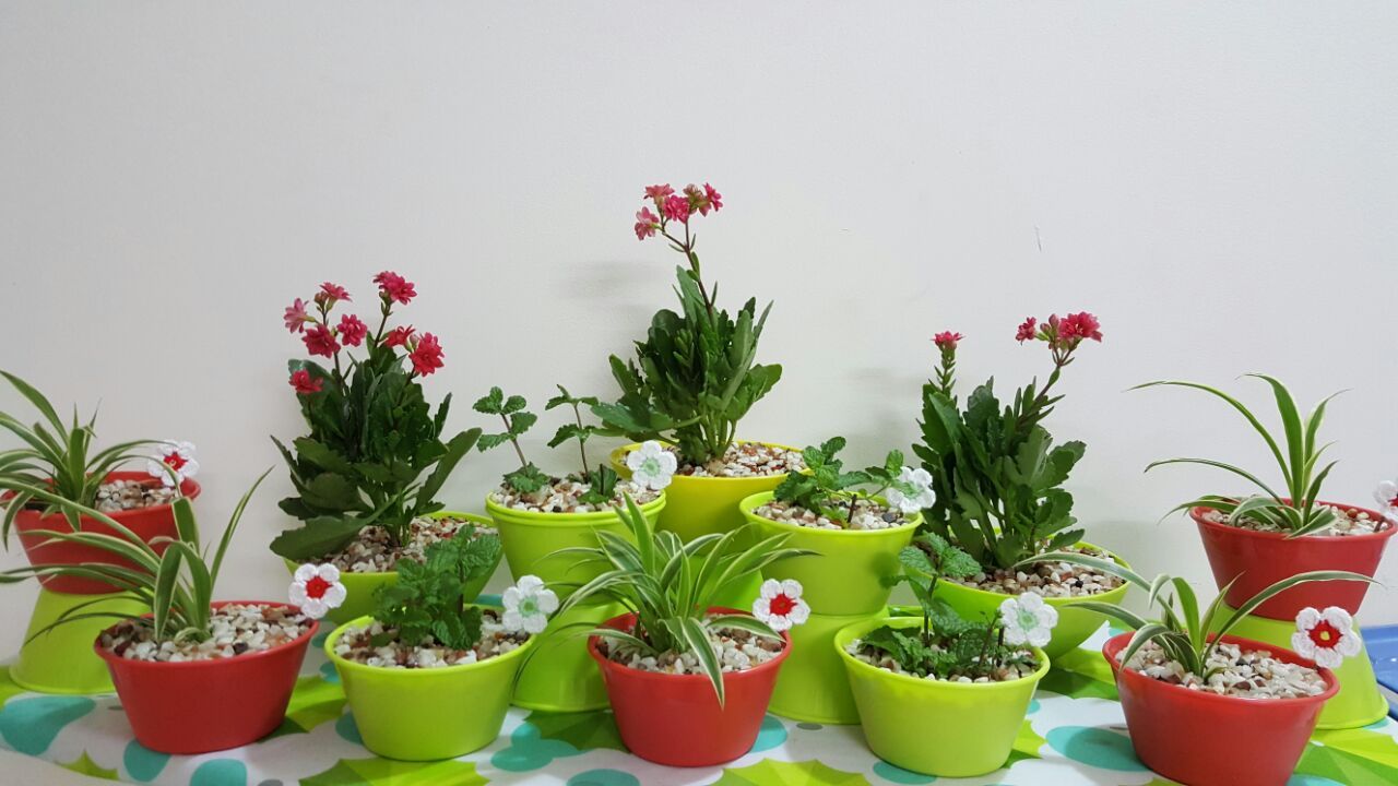 DIY Cute 'N' Little Indoor Plants : 8 Steps (with Pictures) - Instructables