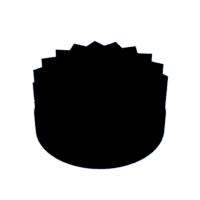 download {{ file.name }}