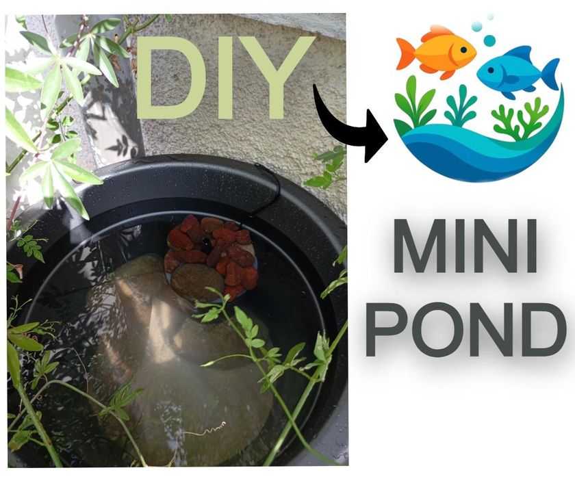 DIY Mini Goldfish Pond in a Flowerpot : 8 Steps (with Pictures ...
