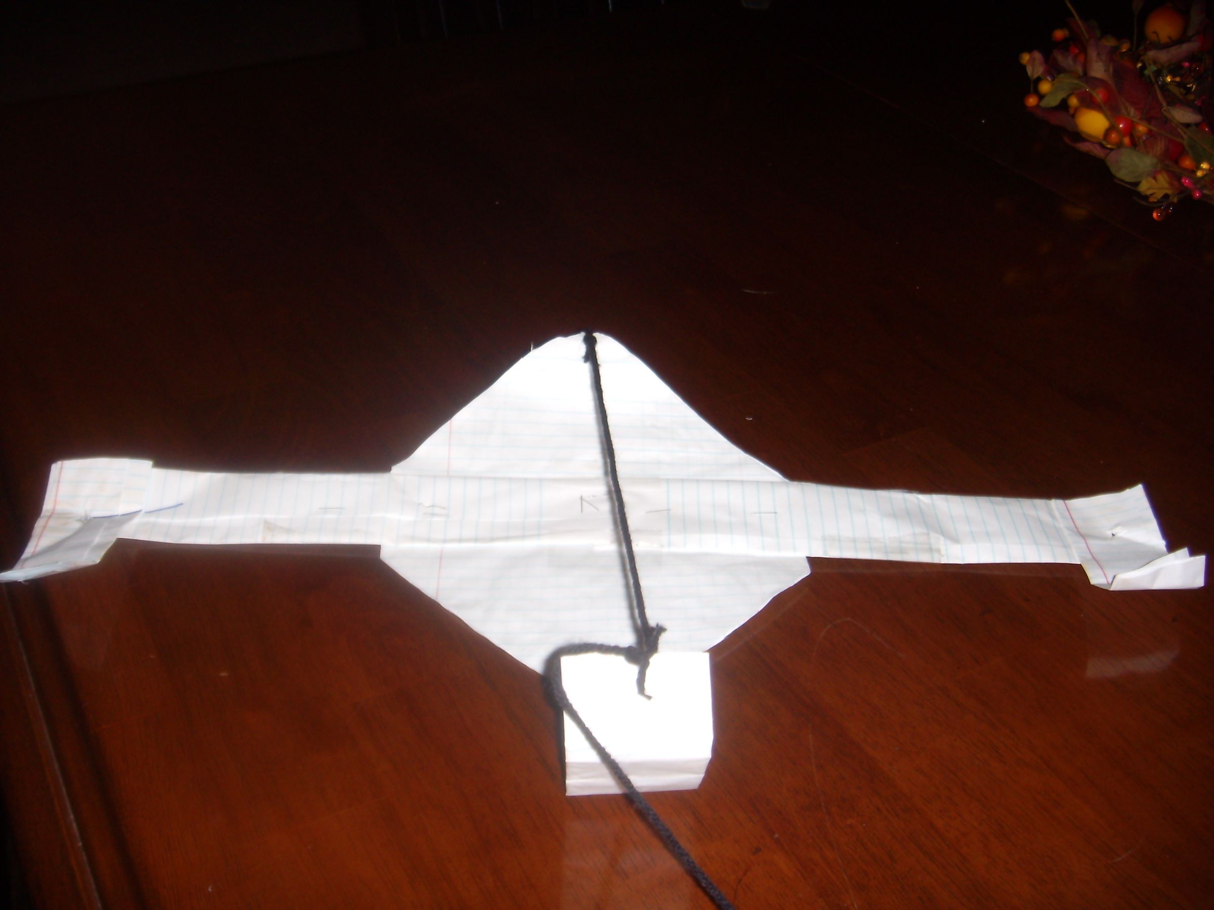 The Hang Glider