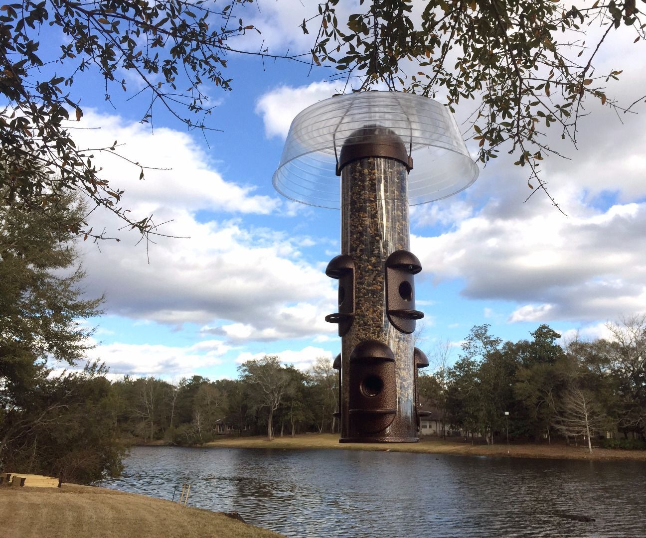 Save the Bird Feeder!!!